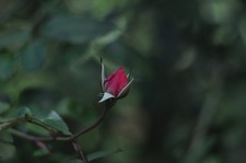 Pentax SMC Takumar 6 x 7