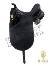 Schöner schwarzer Australian