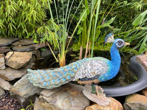 Deko pfau figur - deko, vogel
