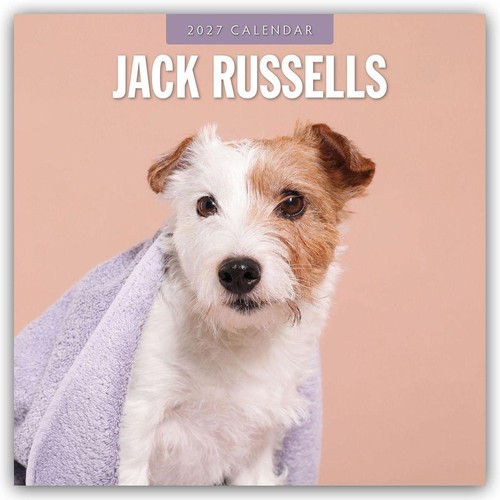 Jack russells russell - -,