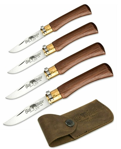 Antonini old bear - antonini,
