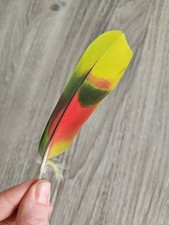 13,5 cm bunte ??❤ Vogelfeder Papageienfeder Feder Papagei basteln   