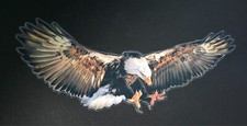 Aufkleber Sticker Adler Eagle