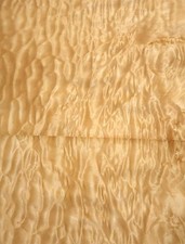 Muschel Ahorn Furnier Quilted