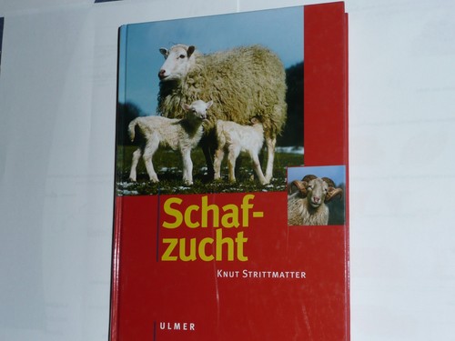 Schafzucht