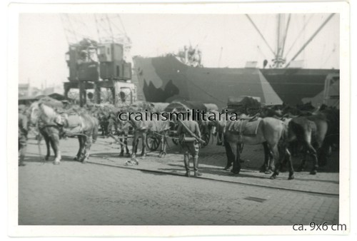 Orig foto gebirgsjäger - orig.,