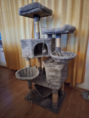 Katzenkratzbaum - , +