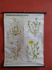 Alte Schulwandkarte