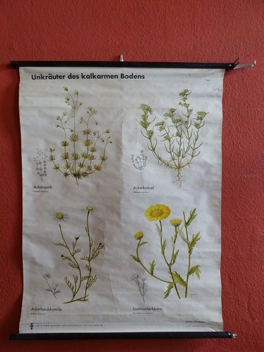 Alte schulwandkarte schulkarte - schulwandkarte,