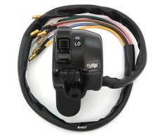 Lights / Turn Signal / Horn