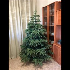 Premium weihnachtsbaum - premium,