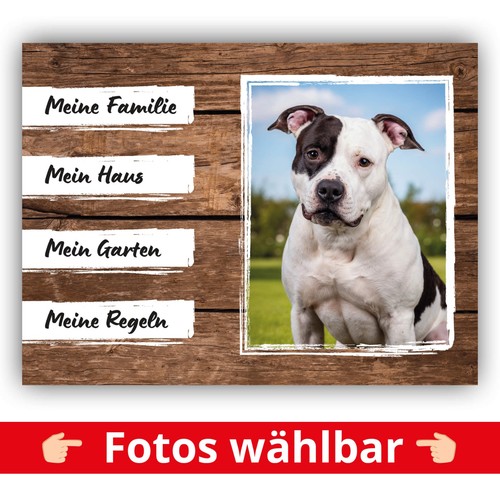 Staffordshire bullterrier - staffordshire,