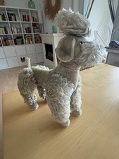 Original Steiff Pudel Snobby