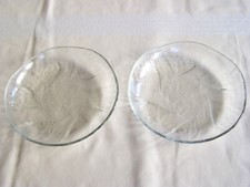 Teller glas mittelgroß - 2,