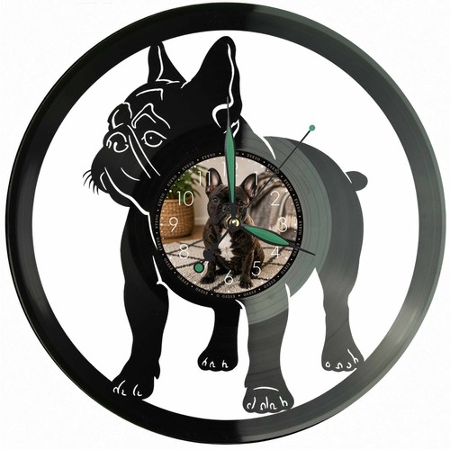 Französische bulldogge - französische,