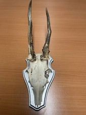 DEKO REHGEWEIH  REHGEHÖRN