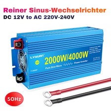 2000W 4000W Reiner Sinus