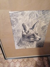 Bleistift Zeichnung Tier Fuchs