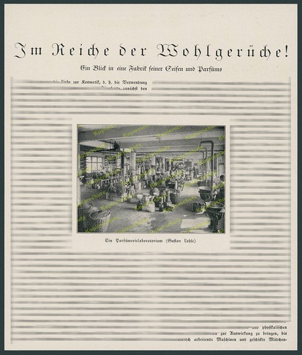 Fotobericht gustav lohse - fotobericht,
