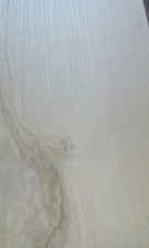  Ash Body B - Ware Bodyblank