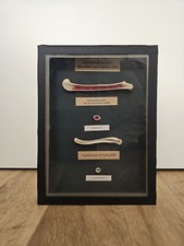 Alter Schaukasten Präparat KNOCHEN SÄUGETIER VOGEL Lehrmittel Lehrmodell 50er