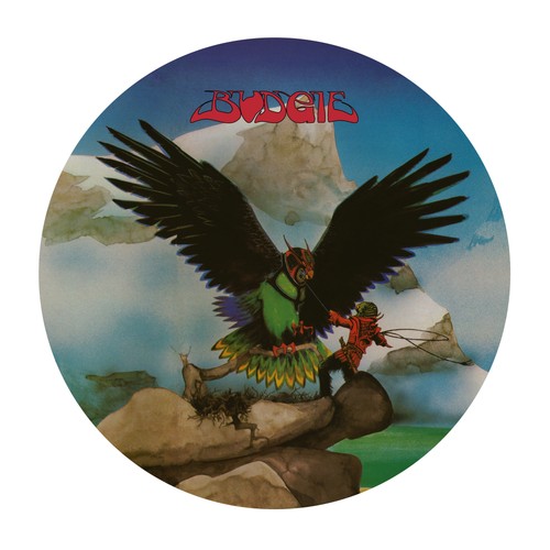 Budgie never turn - your, on