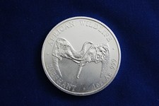 Silberunze Zambia Elefanten