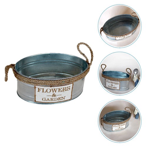 Sukkulenten topf blumen - ,