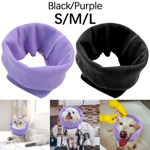 Hund snood haustier - hund,