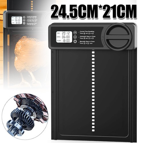 Hühnerklappe automatisch