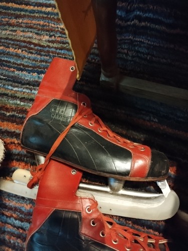 Schlittschuhe - ,