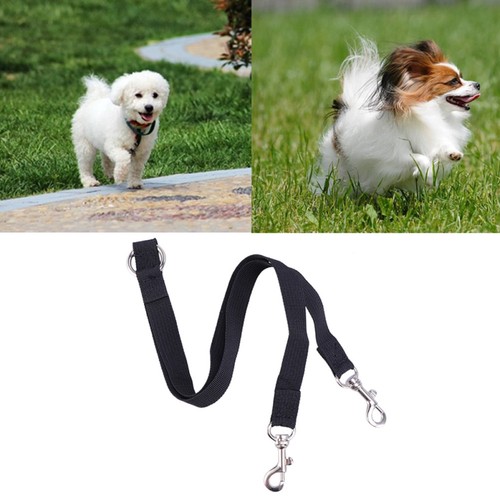Dual double dog leash coupler - dual,