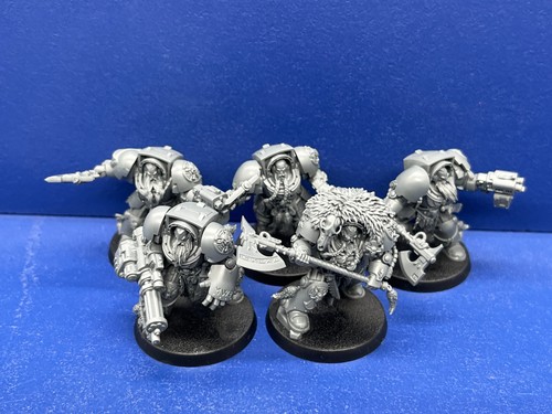 Wolfguard terminators der - 5,