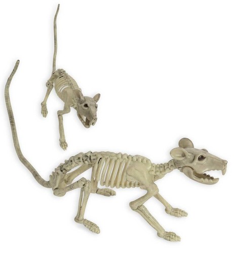 Ratten fossil deko halloween - ratten,