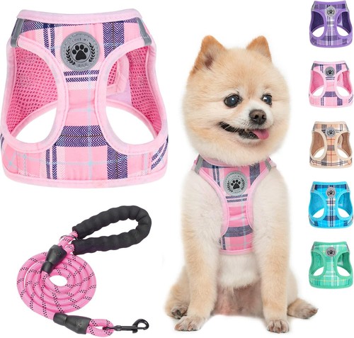 Beautyzoo kleines - beautyzoo,