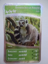 Netto "Ozeanien 2 Wir tauchen