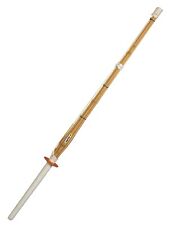 Shinai Training von Kwon