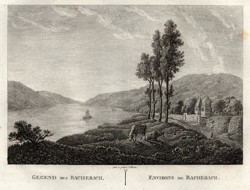 Bacharach umgebung original - bacharach,