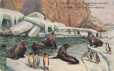 734805) AK Bassin für