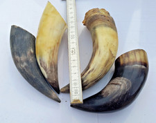 Kuh - Rinderhorn 4 Stück