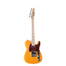J&D TL-MINI E-Gitarre