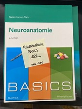 Basics Neuroanatomie
