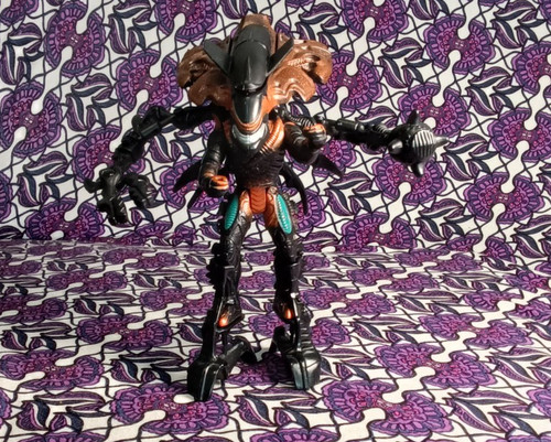 Alien predator t a - vs.,