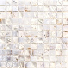 Muschel Mosaikfliesen Wand
