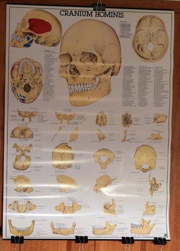 Rüdiger lehrmittel lehrtafel - rüdiger,