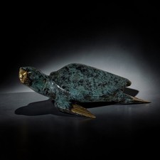 Bronze schildkröte indonesien - bronze,