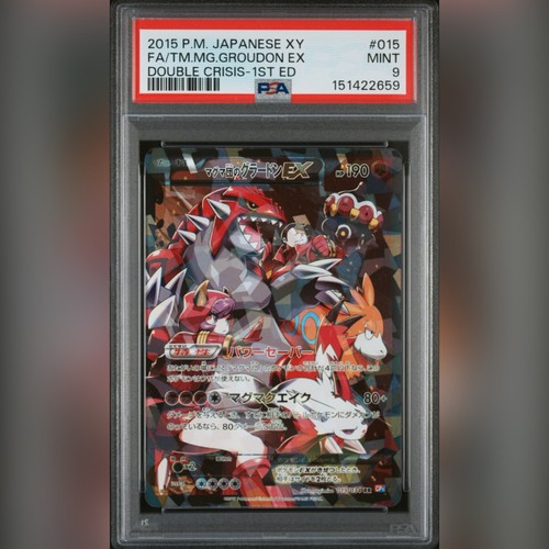 Psa team magma groudon - 9,