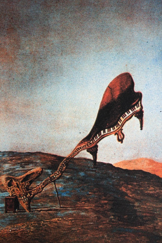 Salvador dali lithographie - dali,