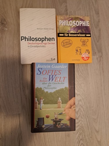 Sofies welt roman - sofies,