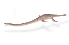 Collecta 88922 elasmosaurus - collecta, 23